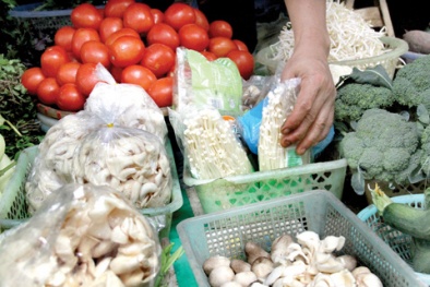 Nấm kích thích sinh trưởng… “vô tư bán, vô tư ăn”